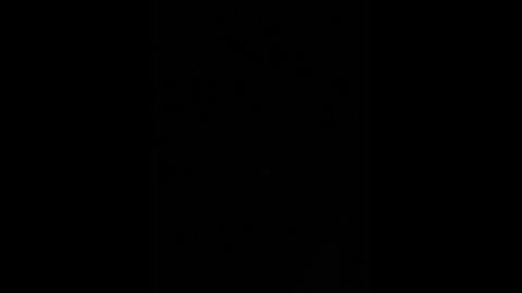 sallyeleins free recording from 2026-03-01 07:31:00