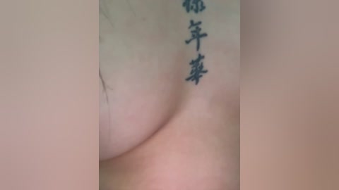 adel9 free recording from 2026-03-03 04:12:00