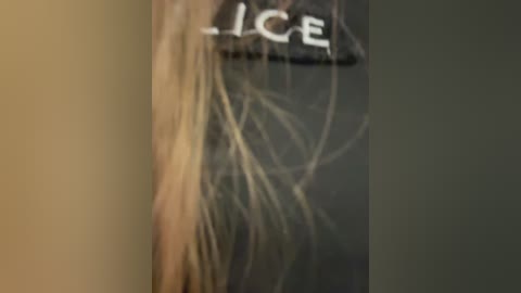 your_kissa_ free recording from 2026-04-07 03:00:00