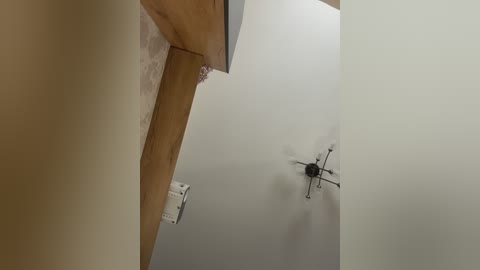 lavandaista free recording from 2026-04-07 00:38:00