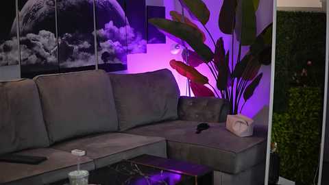 raquellevon free recording from 2026-03-05 16:11:00