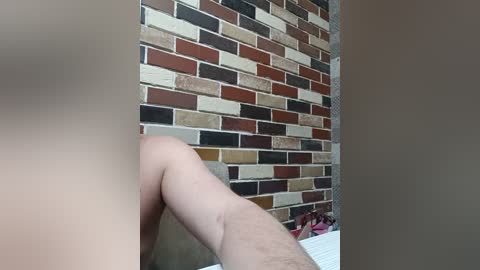 zaichullek free recording from 2026-03-05 12:02:00