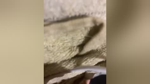 barbi_biana free recording from 2026-03-23 22:03:00