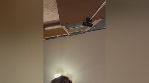 littledelora free recording from 2026-03-23 23:09:00