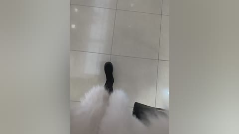 olivkavif free recording from 2026-03-23 13:12:00