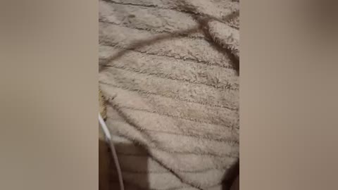 tvoimalchik111 free recording from 2026-03-23 21:13:00