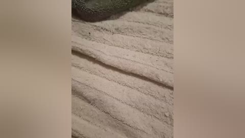 tvoimalchik111 free recording from 2026-03-23 22:36:00