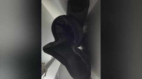 adelaida1001 free recording from 2026-03-24 10:29:00