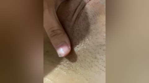 barbi_biana free recording from 2026-04-05 01:47:00