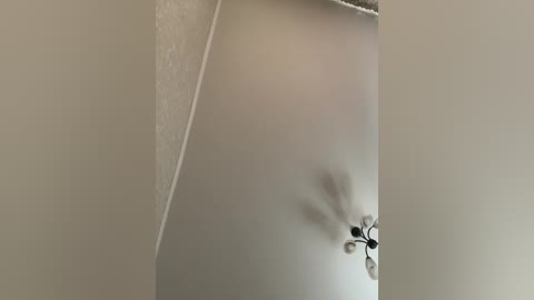 hellmor free recording from 2026-04-03 02:52:00