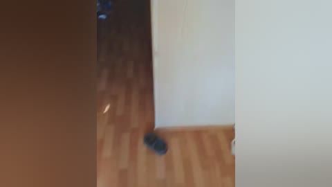 laylay13 free recording from 2026-03-24 09:54:00