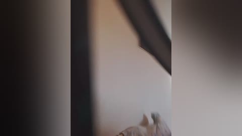 laylay13 free recording from 2026-04-07 00:38:00