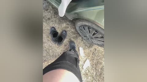 sun_moon free recording from 2026-03-24 12:07:00