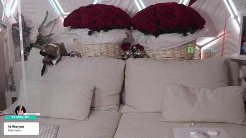 taanni free recording from 2026-03-24 15:37:00