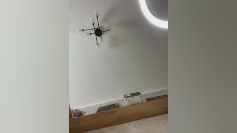 lavandaista free recording from 2026-03-25 11:27:00