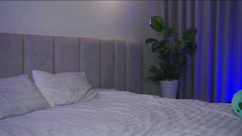 pluxury_ free recording from 2026-03-25 14:27:00