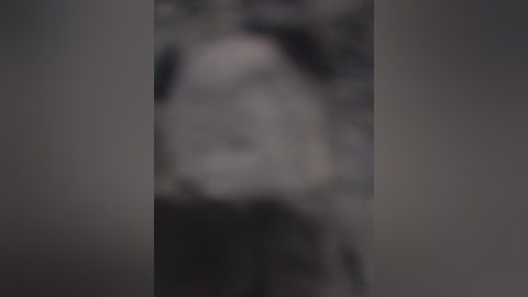 sexycouple69 free recording from 2026-04-03 02:52:00