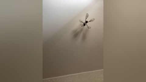 hellmor free recording from 2026-04-03 02:52:00