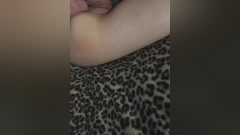 sluttyfuck25 free recording from 2026-03-26 20:02:00