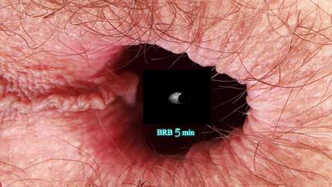 your_red_wine free recording from 2026-03-26 19:34:00