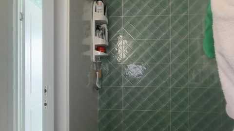 alexarays free recording from 2026-03-27 11:28:00