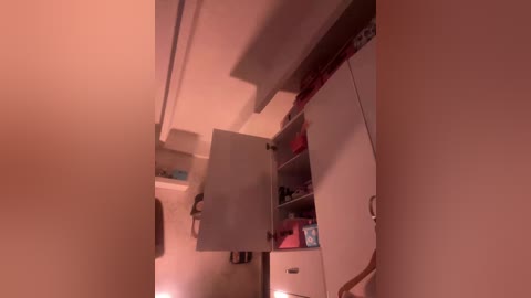 sallyeleins free recording from 2026-03-27 04:03:00