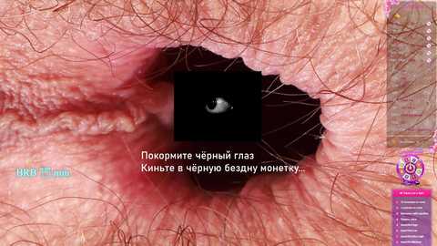 your_red_wine free recording from 2026-04-05 01:47:00