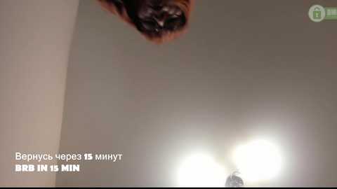 fox_lisa free recording from 2026-04-05 01:47:00