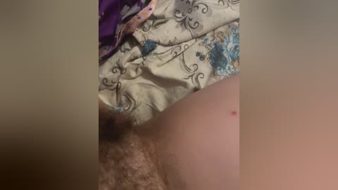 sexpara2022lo free recording from 2026-04-05 00:10:00