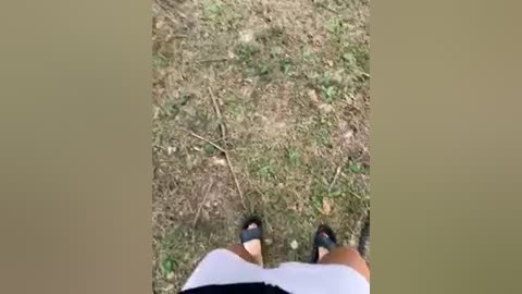 aniram2221 free recording from 2026-03-29 10:07:00