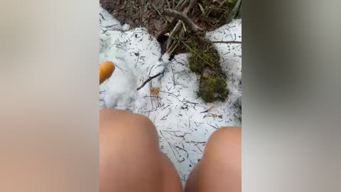 aniram2221 free recording from 