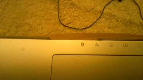 roselynax free recording from 2026-04-03 02:52:00