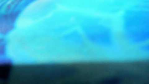 ___rrmodelsstars___ free recording from 2026-04-05 01:57:00