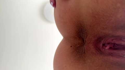 auraxo free recording from 2026-04-03 02:52:00