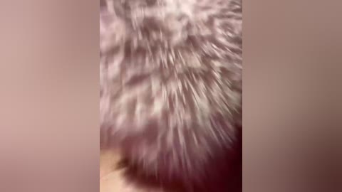 family707 free recording from 2026-03-31 07:06:00