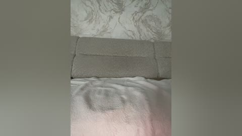 lolafox free recording from 2026-04-03 02:52:00