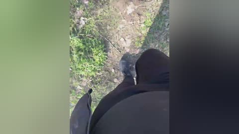 crazy_lady free recording from 2026-04-03 02:52:00