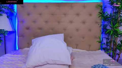 daliyaarabian free recording from 2026-04-05 01:47:00