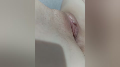 laordkiss free recording from 2026-04-02 20:36:00