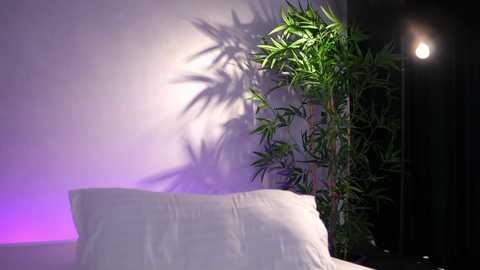 artteasee free recording from 2026-04-07 00:38:00