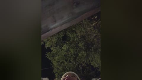 cat_meowa free recording from 