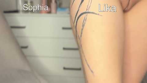 velvettwins free recording from 2026-04-03 02:52:00