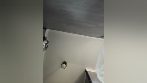 vero19nika free recording from 2026-04-03 02:52:00