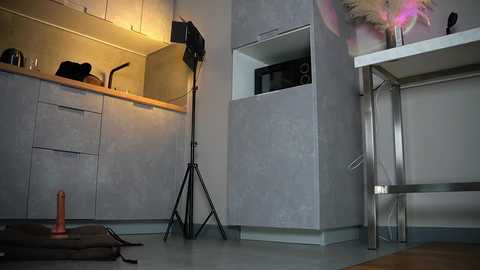 annapurnaa free recording from 2026-04-04 00:42:00