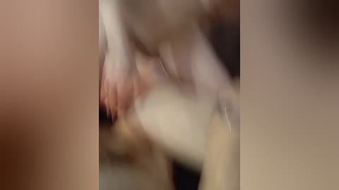 dimashka001 free recording from 2026-04-05 01:47:00