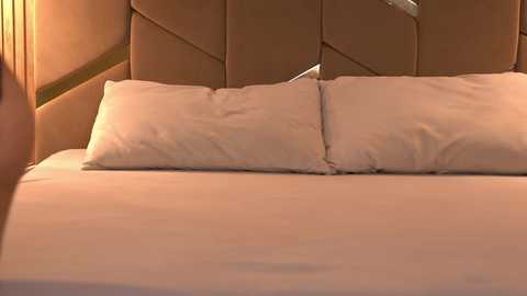 girl_pleasure free recording from 2026-04-06 00:13:00