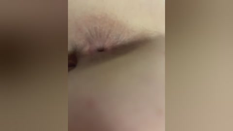 chanel77777 free recording from 2026-04-07 03:00:00