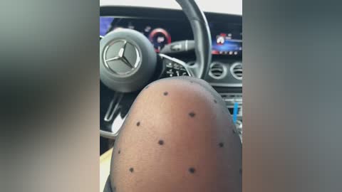 kotofeyka1 free recording from 2026-04-07 02:37:00