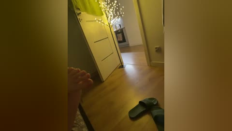 tvoi_kumiry free recording from 2026-04-06 00:30:00