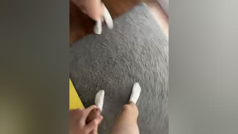 lolave free recording from 2026-04-07 10:41:00